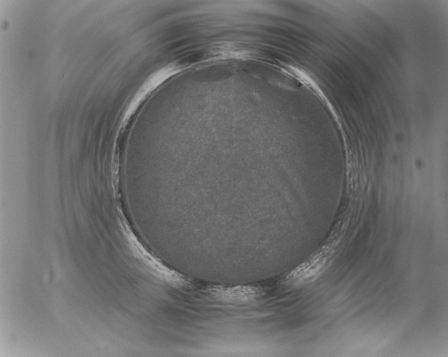 X0000057080851200509091246