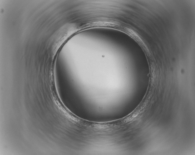 X0000057080852200509091246