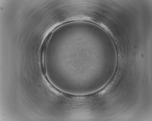 X0000057080854200509091246