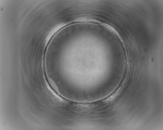 X0000057080855200509091246