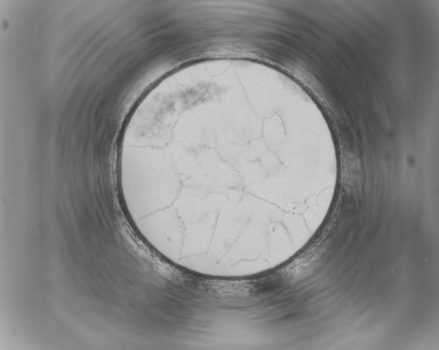 X0000057080856200509091246