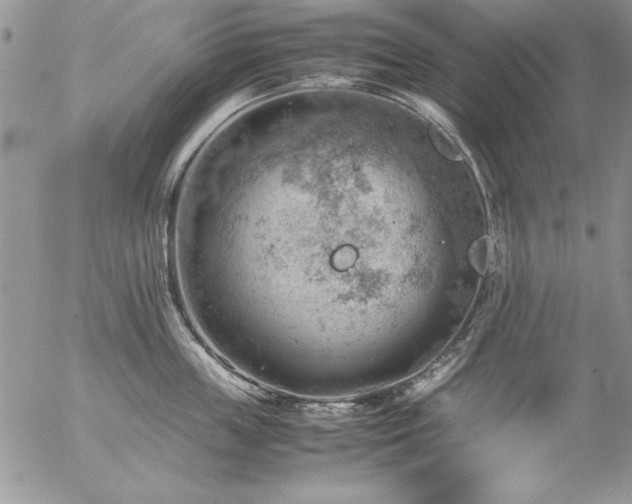 X0000057080859200509091246