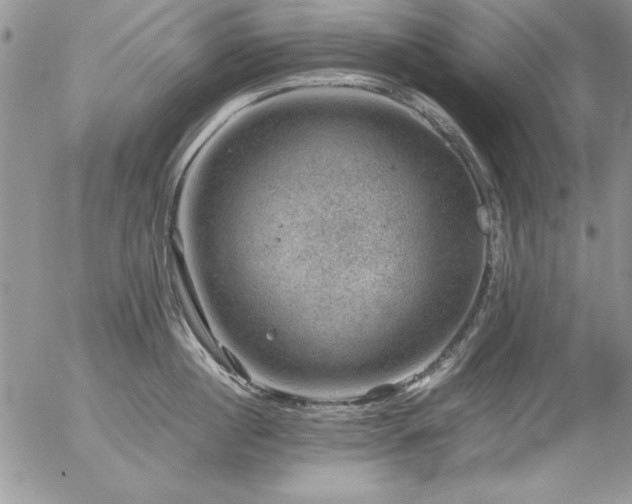 X0000057080860200509091246