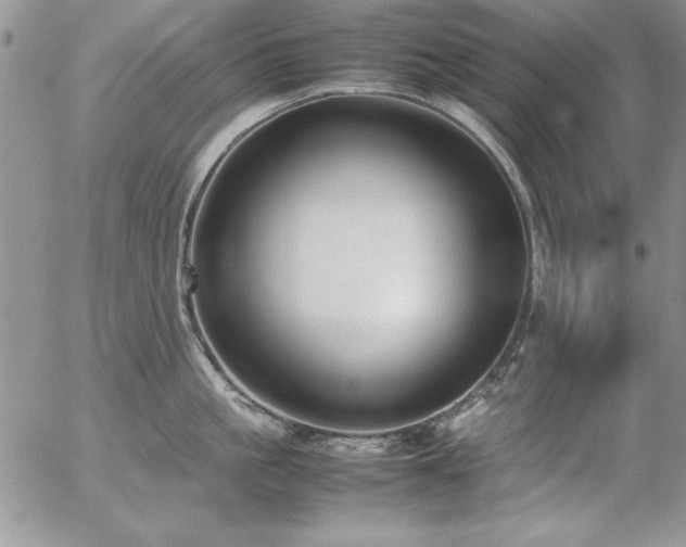 X0000057080861200509091246