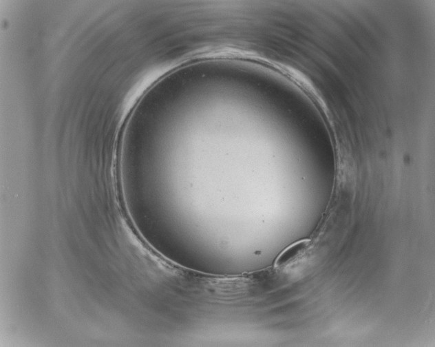 X0000057080863200509091246