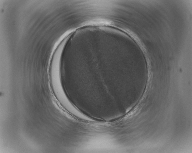 X0000057080864200509091246