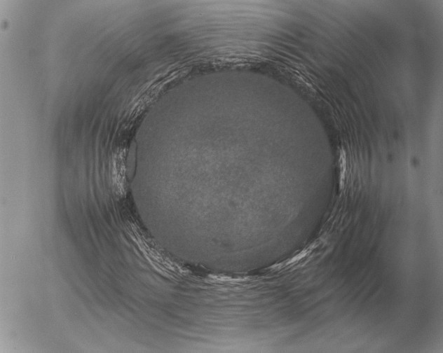 X0000057080868200509091245