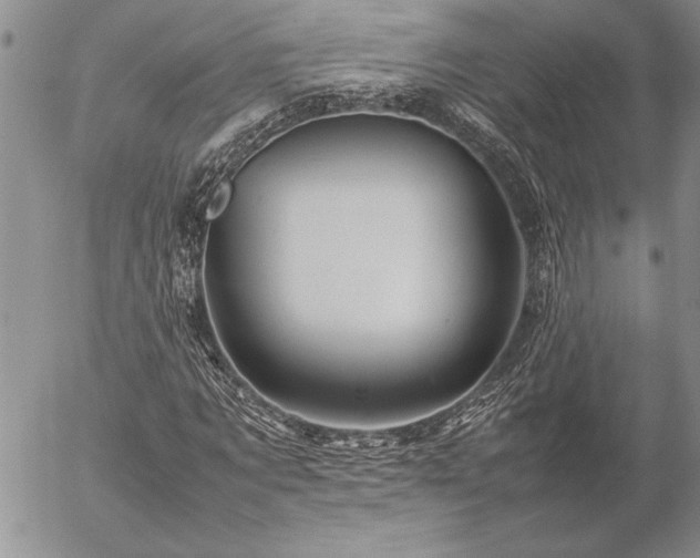 X0000057080869200509091245