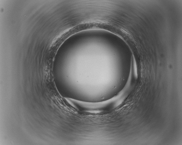 X0000057080872200509091245