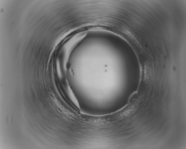 X0000057080876200509091245