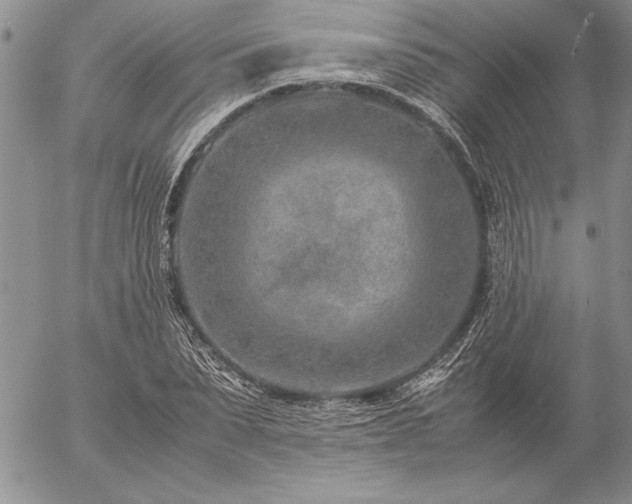 X0000057080879200509091245