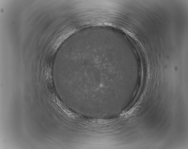 X0000057080881200509091245