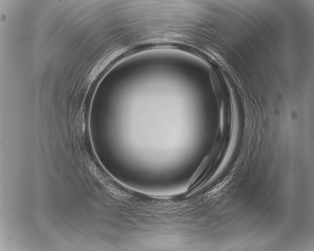 X0000057080885200509091245