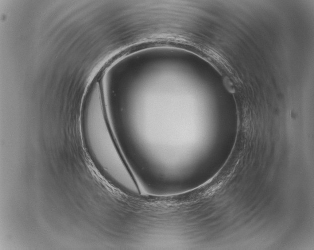 X0000057080888200509091245