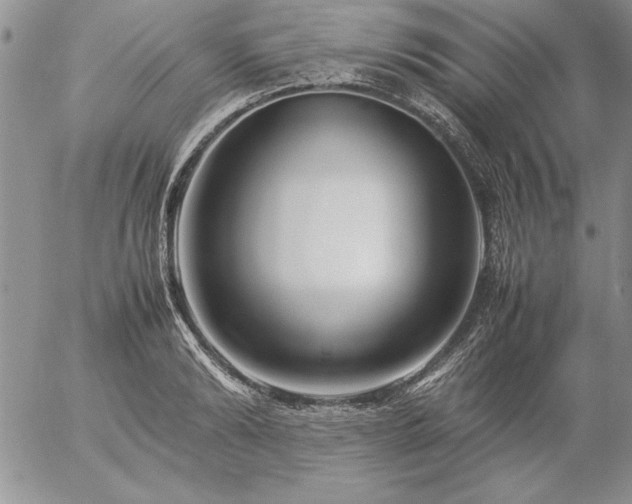 X0000057080894200509091245