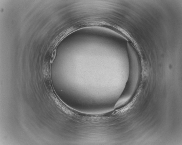 X0000057080897200509091245