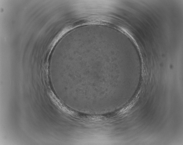 X0000057080899200509091245