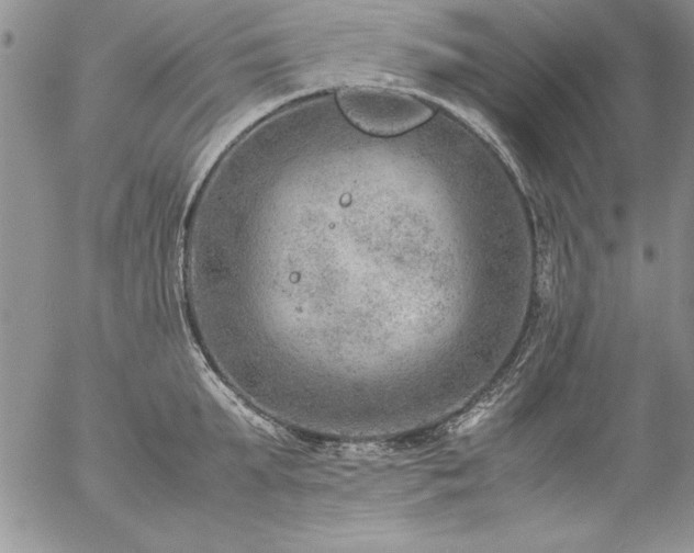 X0000057080903200509091245