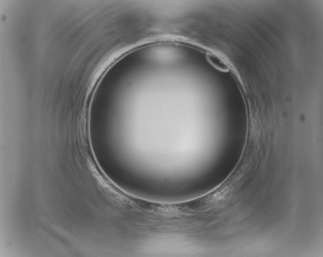 X0000057080911200509091244