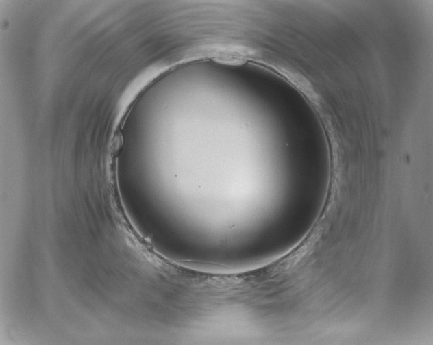 X0000057080912200509091244