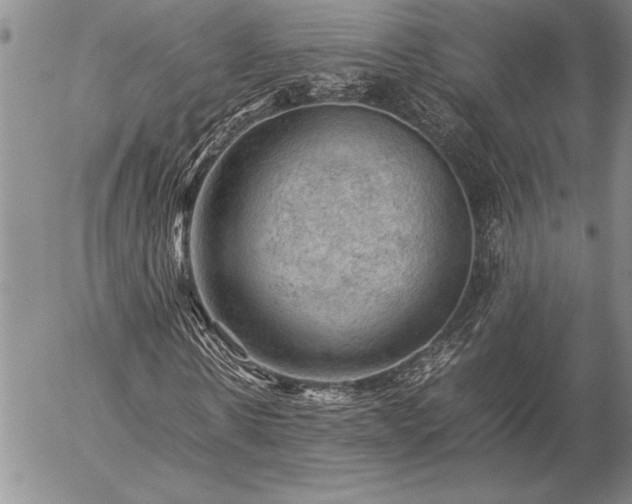 X0000057080914200509091244