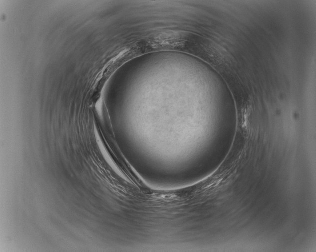 X0000057080915200509091244