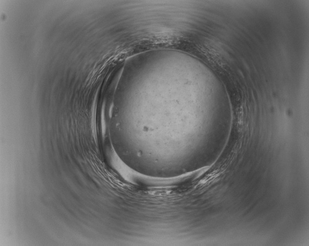 X0000057080916200509091244