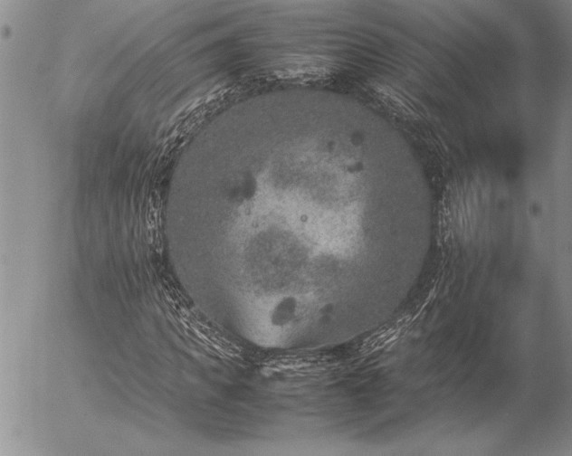 X0000057080917200509091244