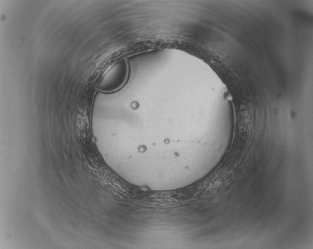 X0000057080918200509091244