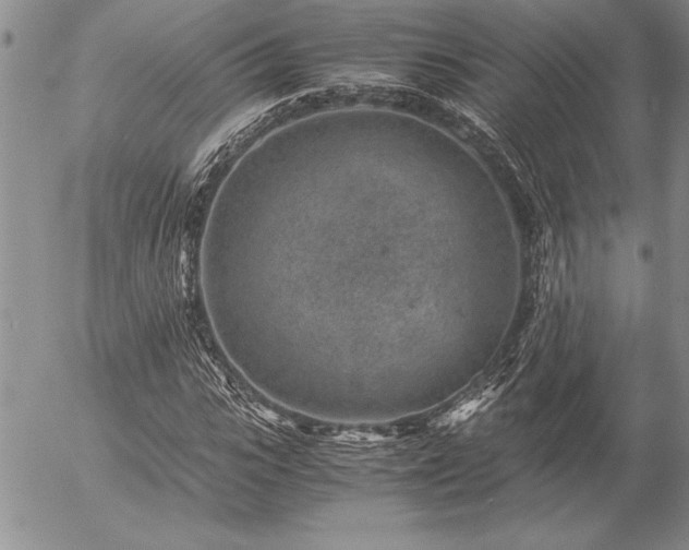 X0000057080919200509091244