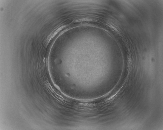 X0000057080921200509091244