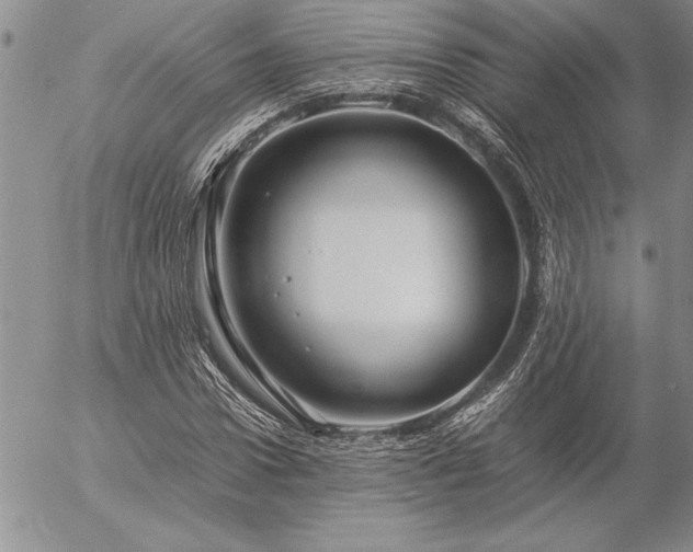 X0000057080922200509091244