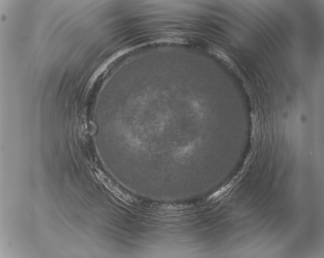 X0000057080923200509091244