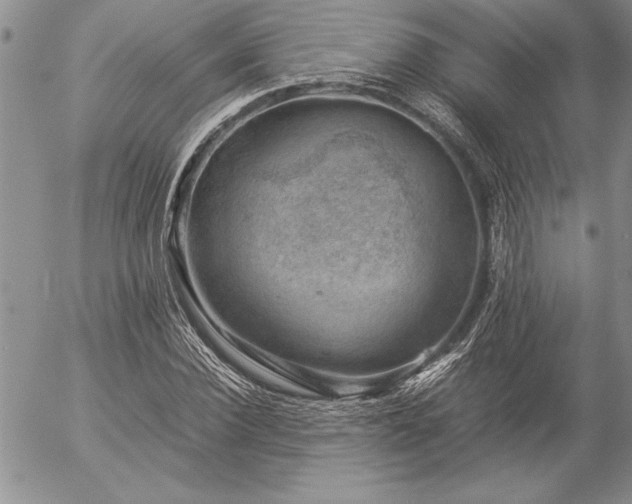 X0000057080924200509091244