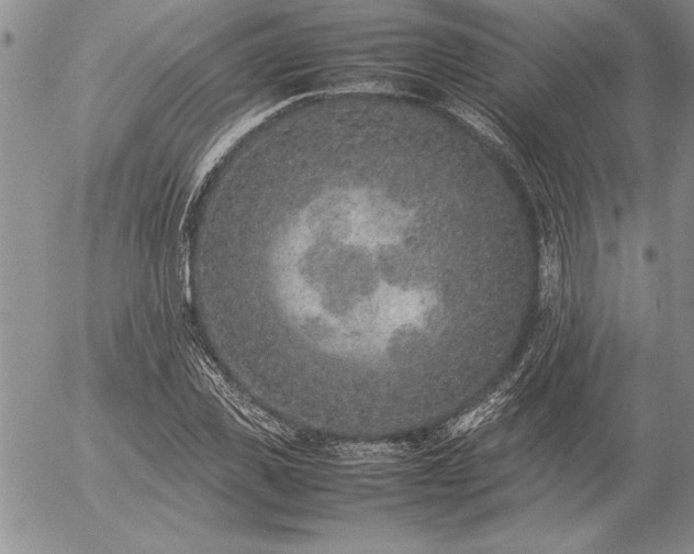 X0000057080925200509091244