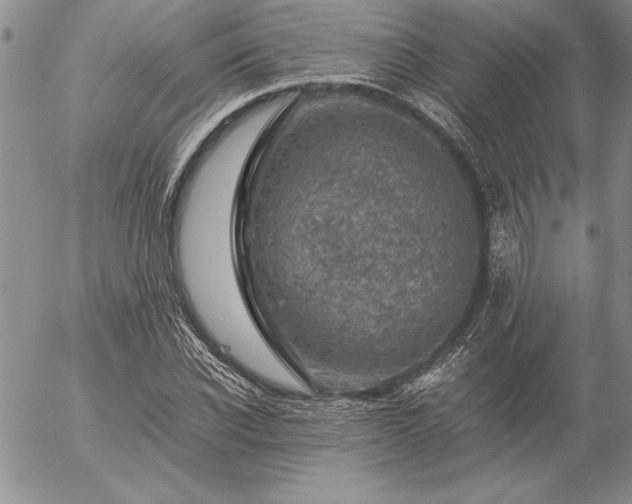 X0000057080926200509091244