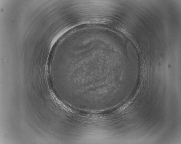 X0000057080928200509091244