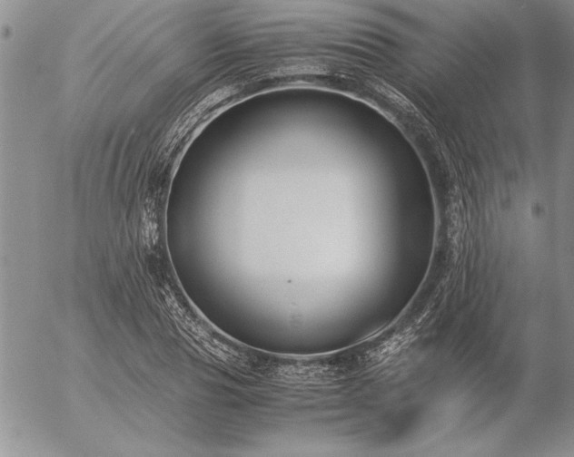 X0000057080929200509091244