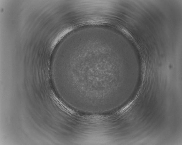 X0000057080930200509091244