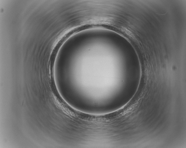 X0000057080934200509091244