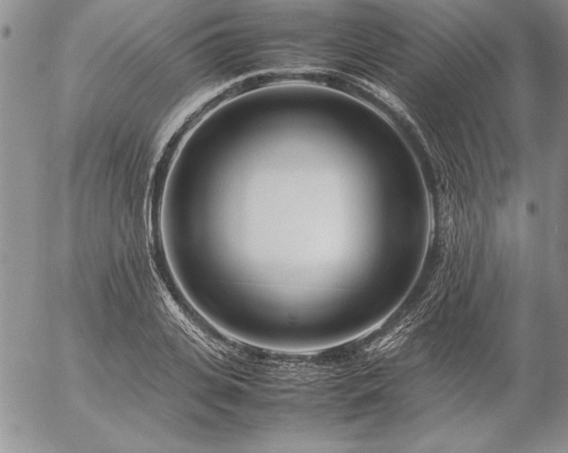 X0000057080935200509091244