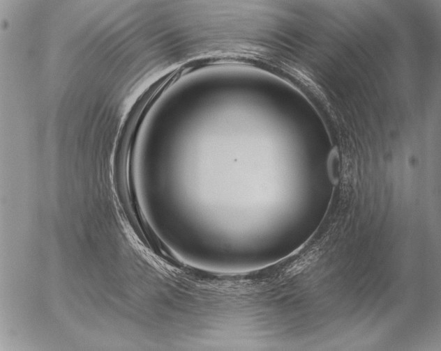 X0000057080936200509091244