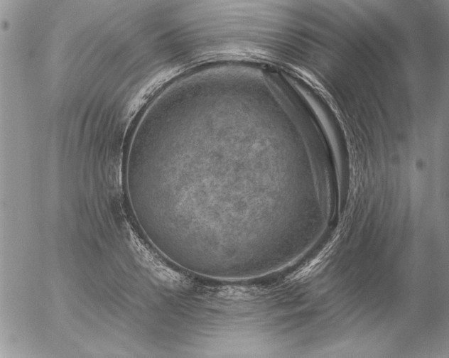 X0000057080938200509091244