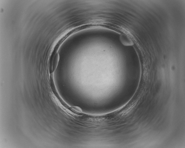 X0000057080939200509091244