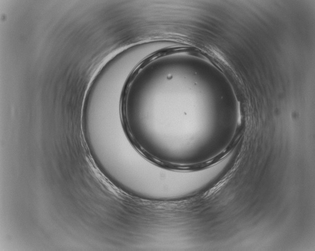 X0000057080940200509091244