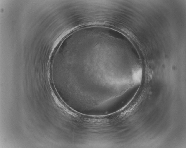 X0000057080941200509091244