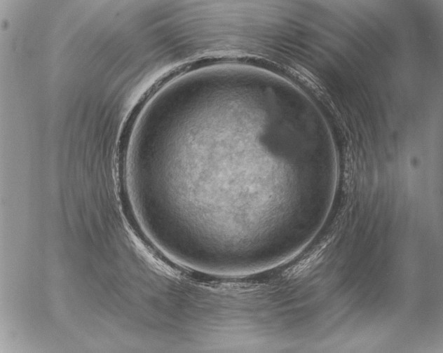 X0000057080942200509091244