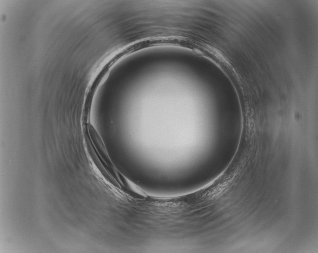 X0000057080943200509091244