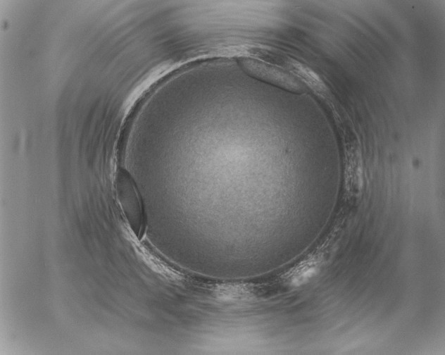 X0000057080944200509091244