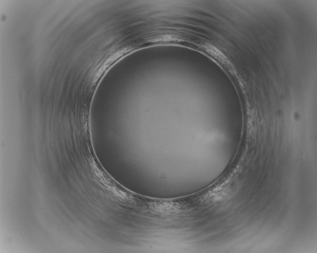 X0000057080945200509091244